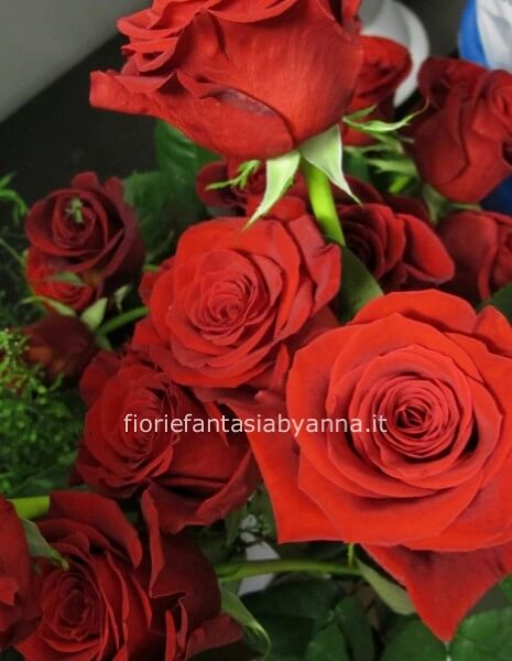 Rose rosse confezionate