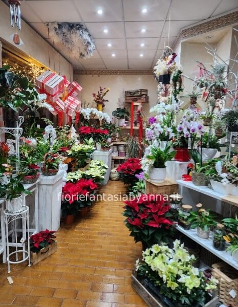 “Dimentica il catalogo infinito anche per il Natale: Disponibiltà reale via messaggio WhatsApp