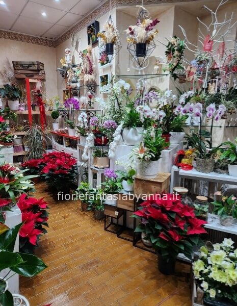 Dimentica il catalogo infinito anche per il Natale: Disponibiltà reale via messaggio WhatsApp