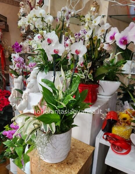 Dimentica il catalogo infinito anche per il Natale: Disponibiltà reale via messaggio WhatsApp