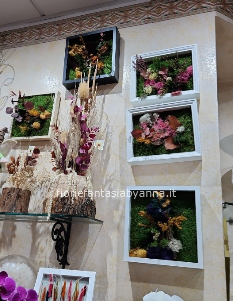 Quadri stabilizzato pezzi unici   scontati 50%   